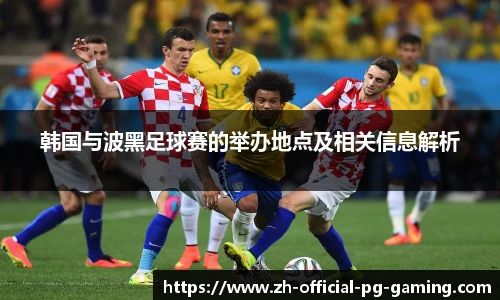 韩国与波黑足球赛的举办地点及相关信息解析